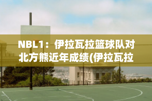 NBL1：伊拉瓦拉篮球队对北方熊近年成绩(伊拉瓦拉老鹰队)