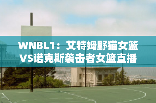 WNBL1：艾特姆野猫女篮VS诺克斯袭击者女篮直播回放