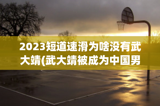 2023短道速滑为啥没有武大靖(武大靖被成为中国男子短道速滑奥运金牌第一人)