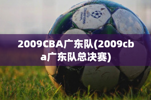 2009CBA广东队(2009cba广东队总决赛)