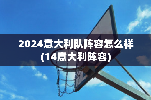 2024意大利队阵容怎么样(14意大利阵容)