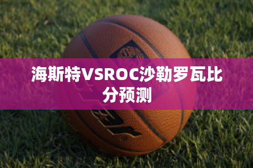 海斯特VSROC沙勒罗瓦比分预测