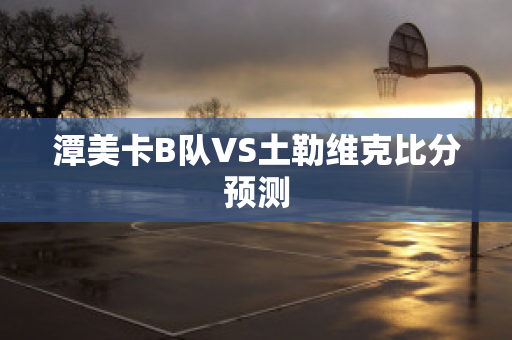 潭美卡B队VS土勒维克比分预测