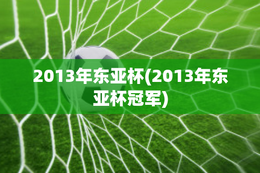 2013年东亚杯(2013年东亚杯冠军)