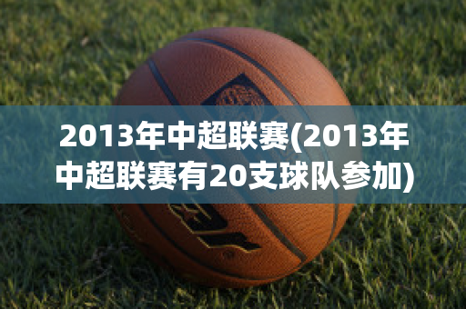 2013年中超联赛(2013年中超联赛有20支球队参加)