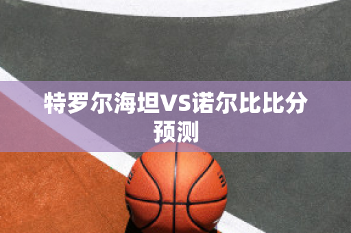 特罗尔海坦VS诺尔比比分预测