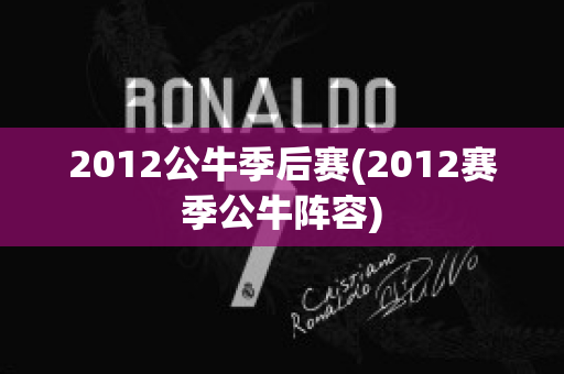 2012公牛季后赛(2012赛季公牛阵容)