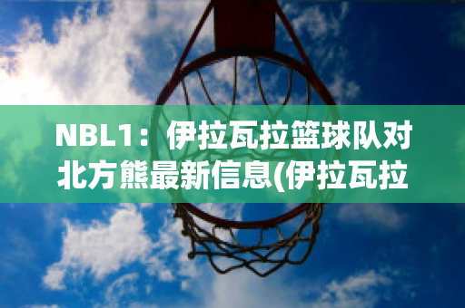 NBL1：伊拉瓦拉篮球队对北方熊最新信息(伊拉瓦拉老鹰队)