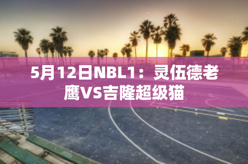 5月12日NBL1：灵伍德老鹰VS吉隆超级猫