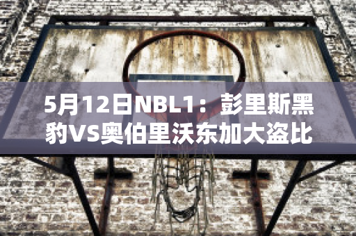 5月12日NBL1：彭里斯黑豹VS奥伯里沃东加大盗比分预测