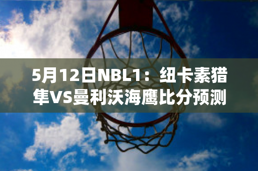 5月12日NBL1：纽卡素猎隼VS曼利沃海鹰比分预测(纽卡素vs热刺)