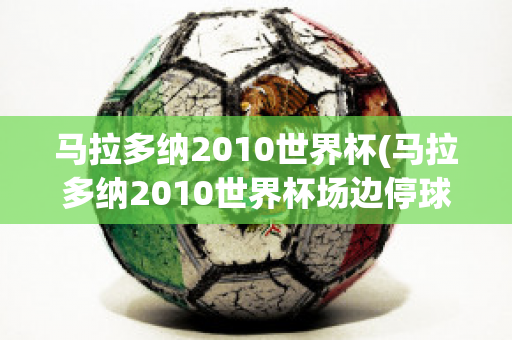 马拉多纳2010世界杯(马拉多纳2010世界杯场边停球)