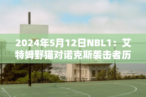 2024年5月12日NBL1：艾特姆野猫对诺克斯袭击者历史交锋