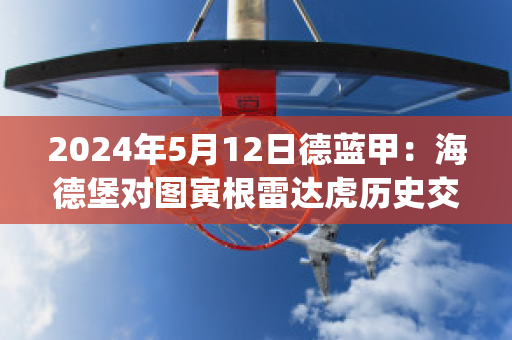 2024年5月12日德蓝甲：海德堡对图寅根雷达虎历史交锋(海德堡事件百科)