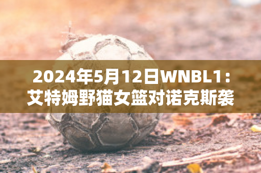 2024年5月12日WNBL1：艾特姆野猫女篮对诺克斯袭击者女篮实力对比