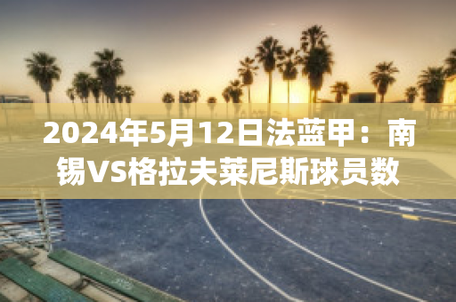 2024年5月12日法蓝甲：南锡VS格拉夫莱尼斯球员数据(南锡vs巴黎fc)