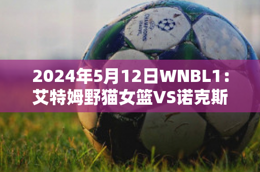 2024年5月12日WNBL1：艾特姆野猫女篮VS诺克斯袭击者女篮球员数据