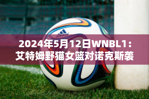 2024年5月12日WNBL1：艾特姆野猫女篮对诺克斯袭击者女篮近年成绩