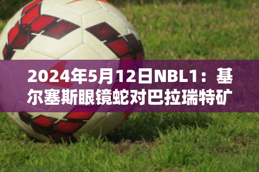 2024年5月12日NBL1：基尔塞斯眼镜蛇对巴拉瑞特矿工最新信息