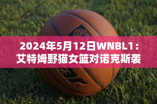 2024年5月12日WNBL1：艾特姆野猫女篮对诺克斯袭击者女篮最新信息