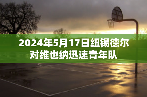 2024年5月17日纽锡德尔对维也纳迅速青年队