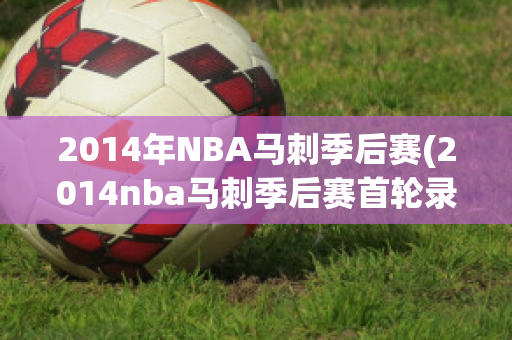 2014年NBA马刺季后赛(2014nba马刺季后赛首轮录像回放)