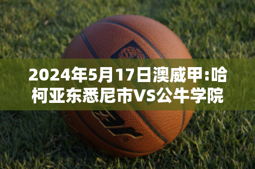 2024年5月17日澳威甲:哈柯亚东悉尼市VS公牛学院球员数据