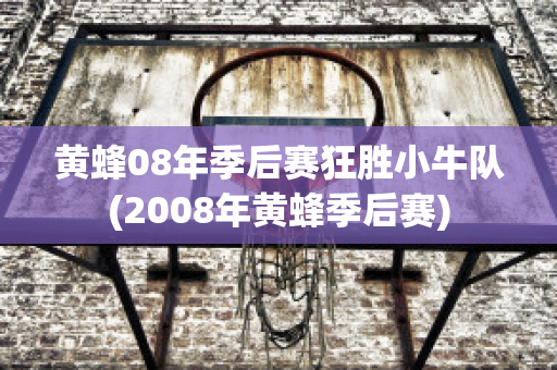 黄蜂08年季后赛狂胜小牛队(2008年黄蜂季后赛)