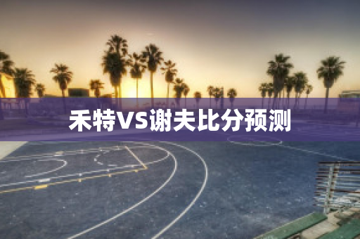 禾特VS谢夫比分预测