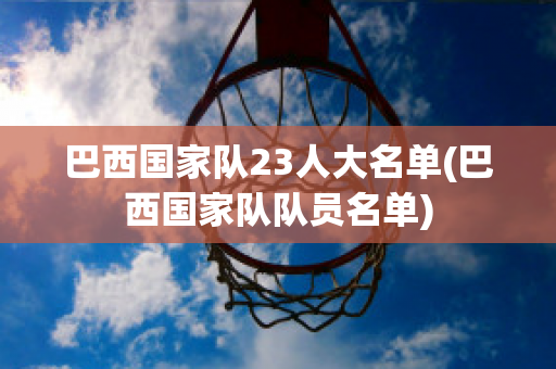 巴西国家队23人大名单(巴西国家队队员名单)