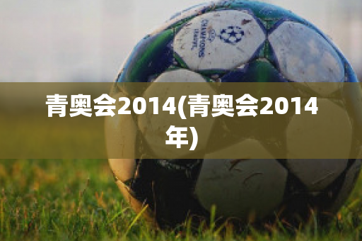 青奥会2014(青奥会2014年)