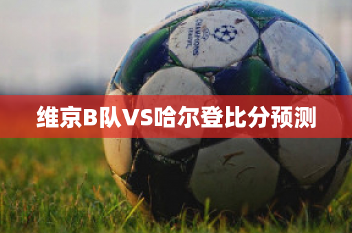 维京B队VS哈尔登比分预测