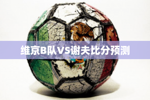 维京B队VS谢夫比分预测