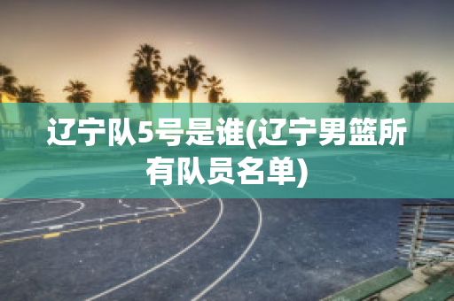 辽宁队5号是谁(辽宁男篮所有队员名单)