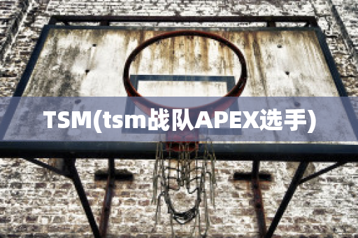 TSM(tsm战队APEX选手)