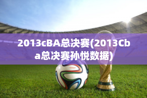 2013cBA总决赛(2013Cba总决赛孙悦数据)