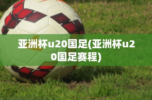 亚洲杯u20国足(亚洲杯u20国足赛程)