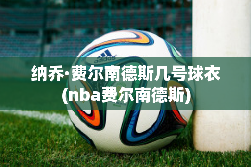 纳乔·费尔南德斯几号球衣(nba费尔南德斯)