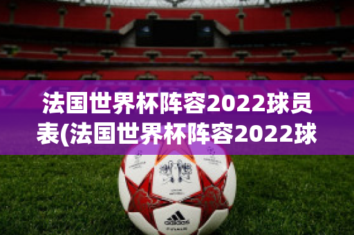 法国世界杯阵容2022球员表(法国世界杯阵容2022球员表图片)