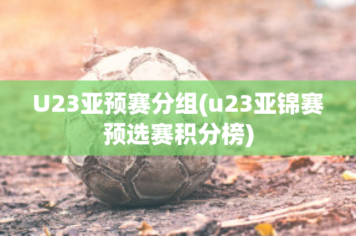 U23亚预赛分组(u23亚锦赛预选赛积分榜)