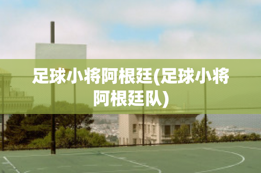 足球小将阿根廷(足球小将阿根廷队)