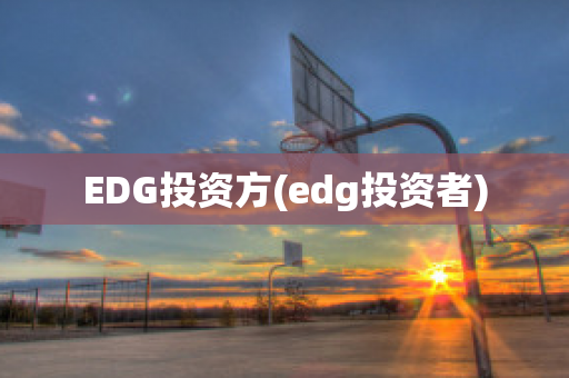 EDG投资方(edg投资者)