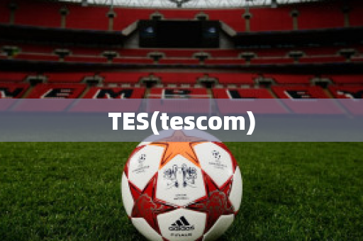 TES(tescom)