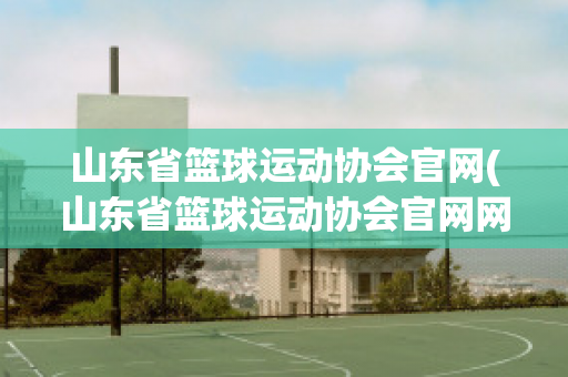 山东省篮球运动协会官网(山东省篮球运动协会官网网址)