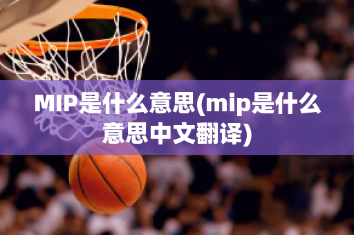 MIP是什么意思(mip是什么意思中文翻译)