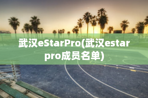 武汉eStarPro(武汉estarpro成员名单)