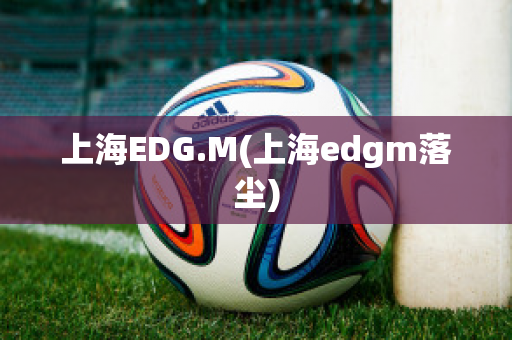 上海EDG.M(上海edgm落尘)