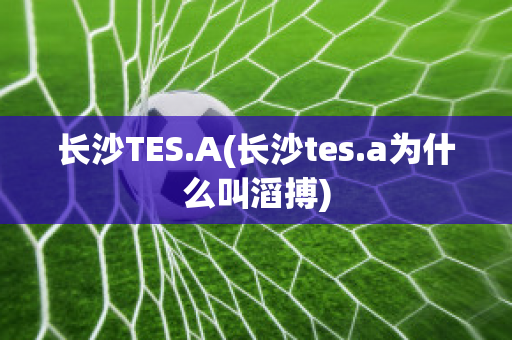 长沙TES.A(长沙tes.a为什么叫滔搏)