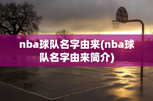 nba球队名字由来(nba球队名字由来简介)