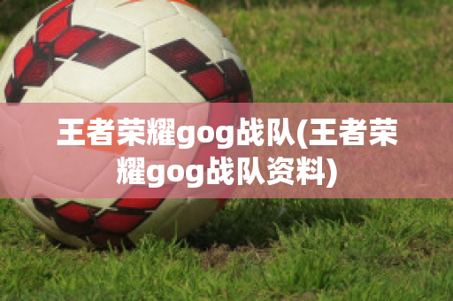 王者荣耀gog战队(王者荣耀gog战队资料)